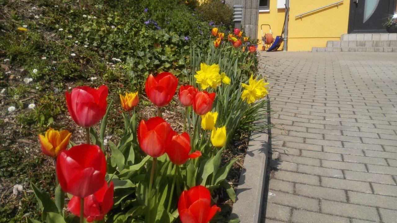 Ferienwohnung Oberpfannenstiel Bernsbach Экстерьер фото